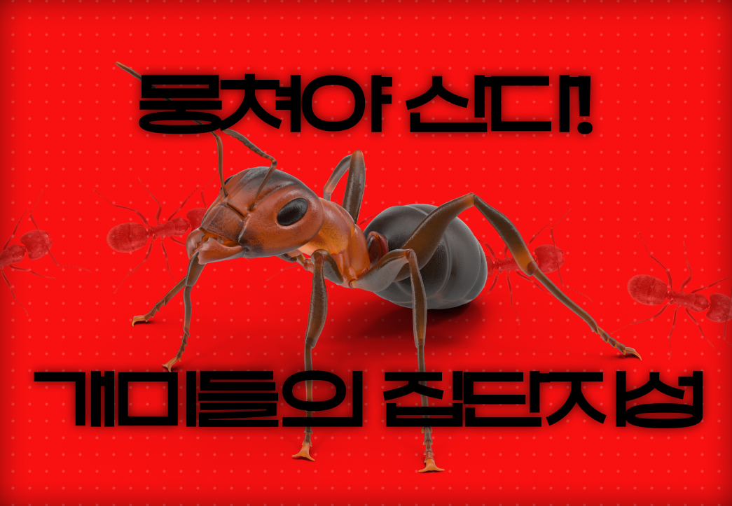 개미들의 집단지성